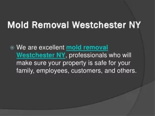 Mold Removal Westchester NY