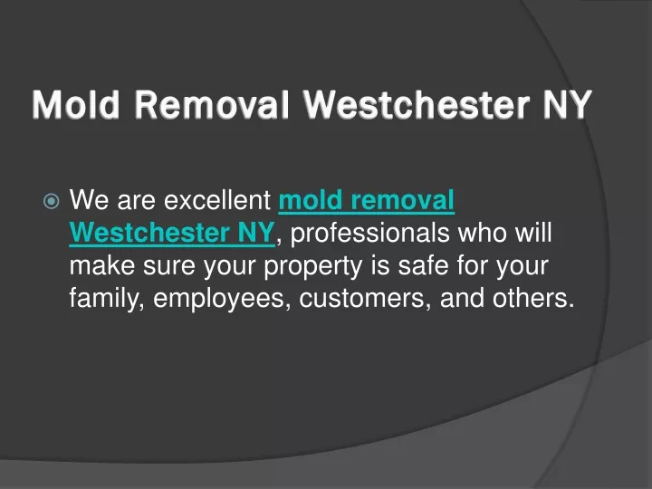 mold removal westchester ny