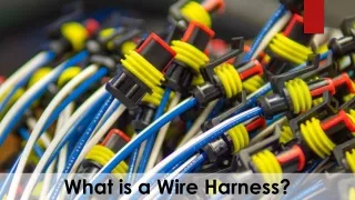 What is a Wire Harness