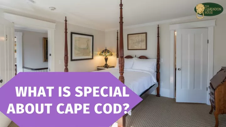 what is special about cape cod