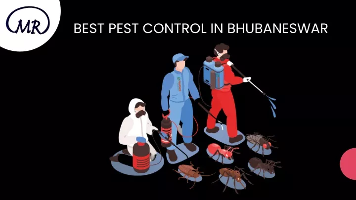 best pest control in bhubaneswar