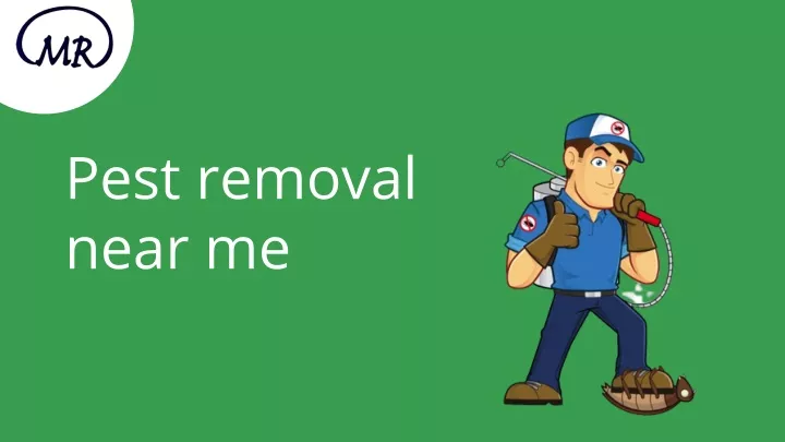 pest removal near me