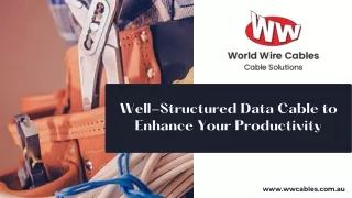 Well-Structured Data Cable to Enhance Your Productivity