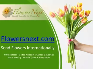 flowersnext com