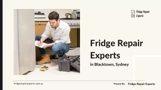 Fridge Repair Experts in Blacktown, Sydney