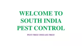 welcome to south india pest control pest free disease free