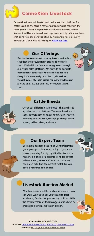 Cattle for Sale in Montana at ConneXion Livestock