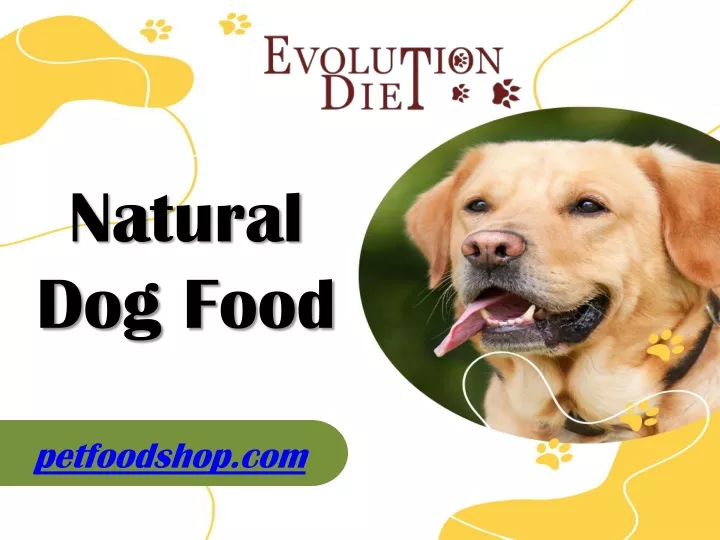 natural dog food