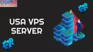 Get the USA VPS Server from USA Server Hosting at an Affordable Price