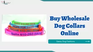 Buy Wholesale Dog Collars Online