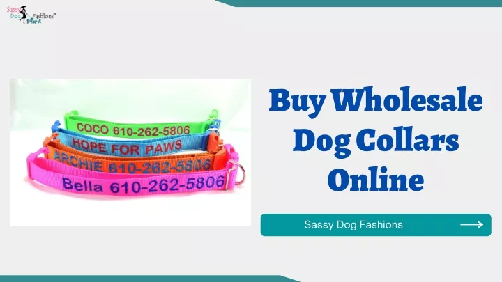 buy wholesale dog collars online