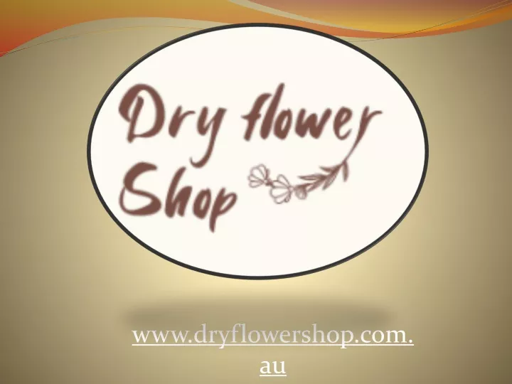 www dryflowershop com au