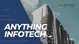 anything infotech