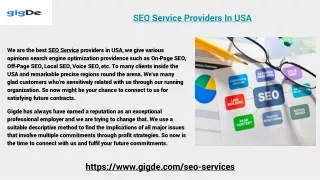 SEO Service Providers In USA
