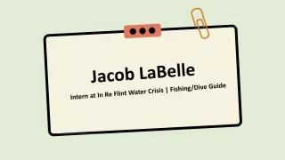 Jacob LaBelle - An Accomplished Professional - Ann Arbor, MI