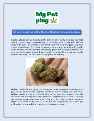 Buy Cheap Marijuana Online | Mypotplug.com