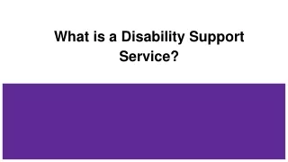 What is a Disability Support Service