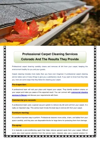 Professional Carpet Cleaning Services Colorado And The Results They Provide