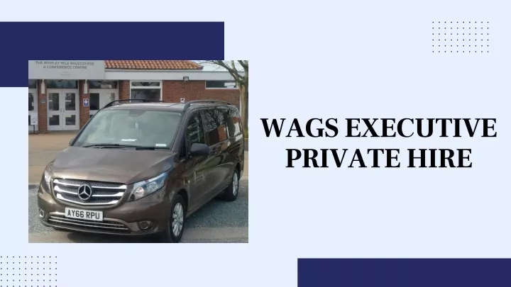 wags executive private hire