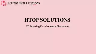 htop solutions it training development placement