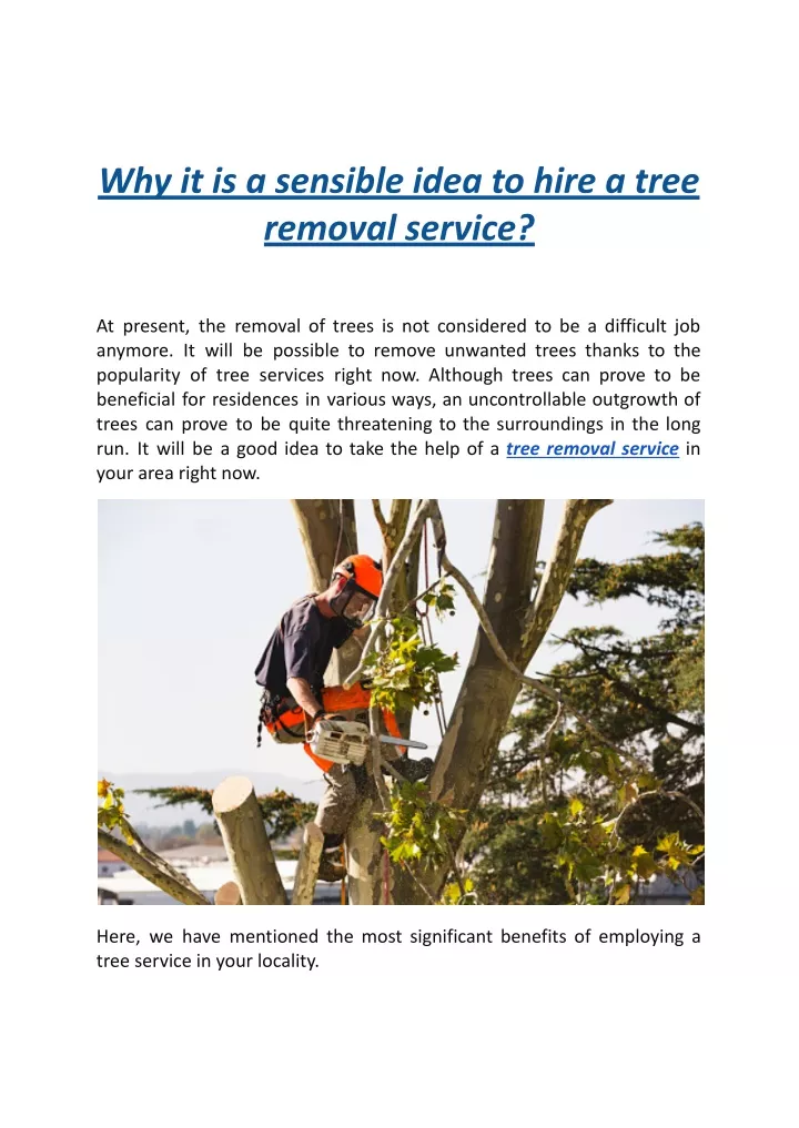 why it is a sensible idea to hire a tree removal