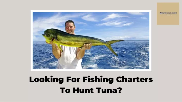 looking for fishing charters to hunt tuna