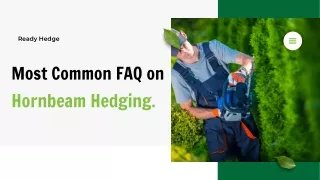 ready hedge