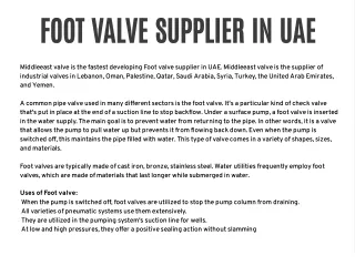 Foot Valve supplier in UAE