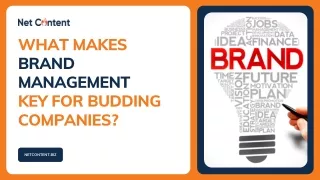 what makes brand management key for budding