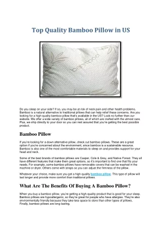 Top Quality Bamboo Pillow in US