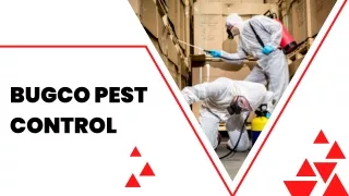 Best Pest Control Company In San Marcos tx - Bugco Pest Control