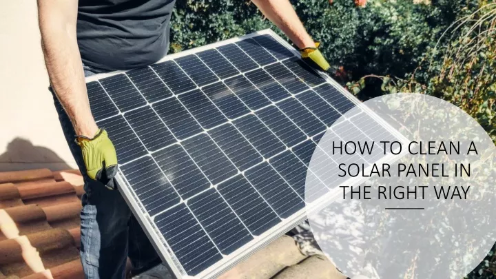 PPT - How To Clean Solar Panels In Right Way PowerPoint Presentation ...