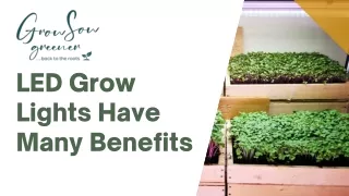 The Benefits of LED Grow Lights