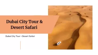 dubai city tour and DESERT SAFARI  combo