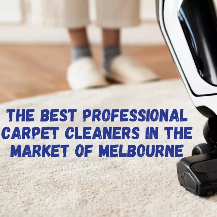 the best professional carpet cleaners