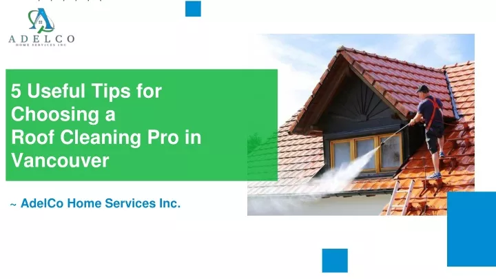 5 useful tips for choosing a roof cleaning