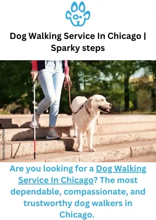 Dog Walking Service In Chicago  Sparky steps