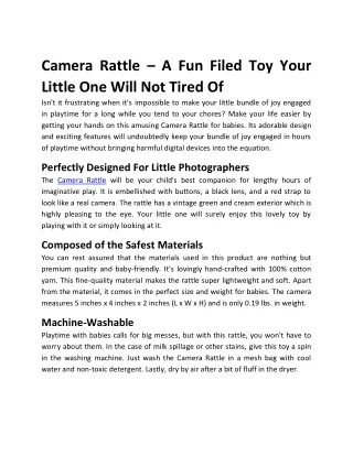 camera rattle a fun filed toy your little