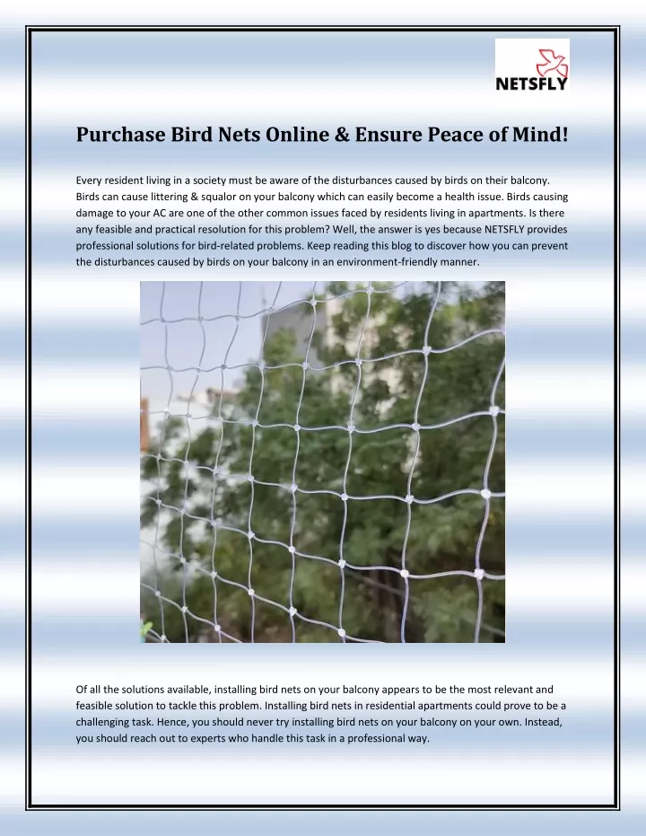 purchase bird nets online ensure peace of mind