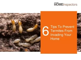 Six Tips To Prevent Termites From Invading Your Home.