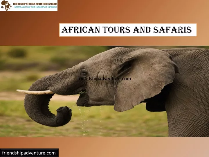 african tours and safaris