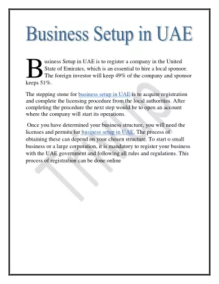 Business Setup In UAE pdf