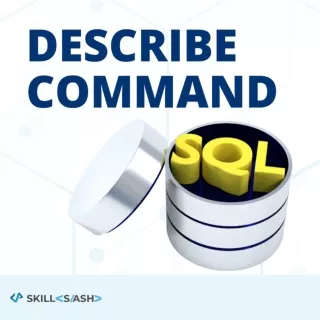 Describe Command SQL