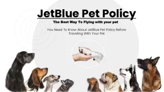 JetBlue Pet Policy The Best Way To Travel With Your Pet