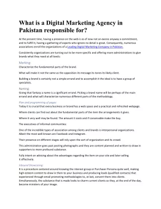 What is a Digital Marketing Agency in Pakistan responsible for