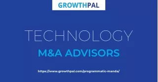 Technology M&A Advisors