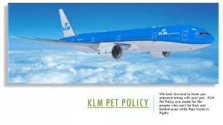 KLM PET POLICY