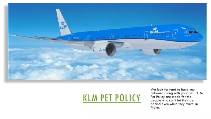 klm pet policy