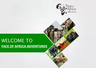Introduction to Face of Africa Adventures