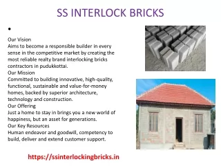 SS INTERLOCK BRICKS